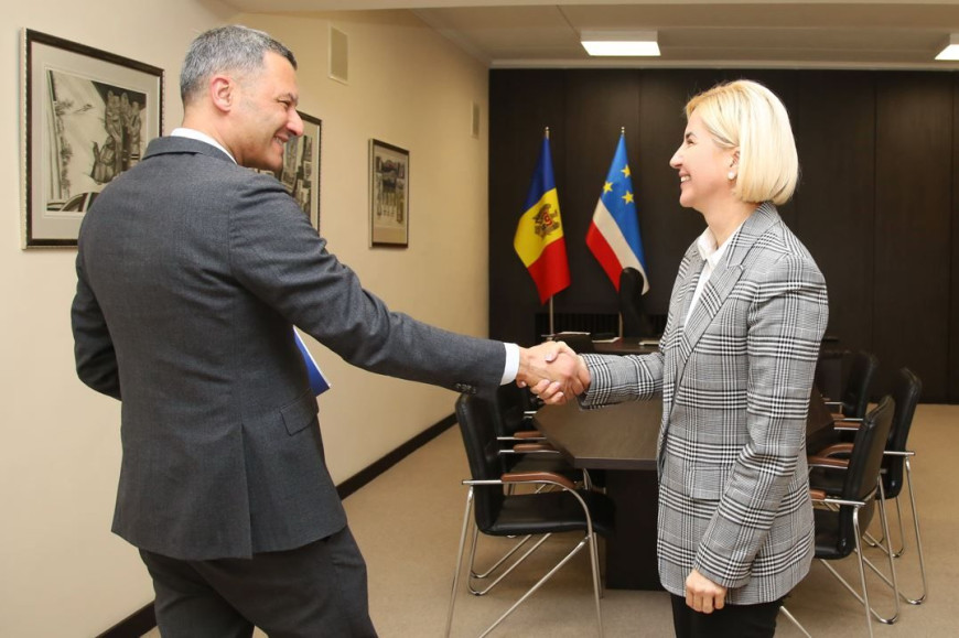 Ирина Влах – главе Офиса Совета Европы: действия PAS отдаляют Молдову от ЕС