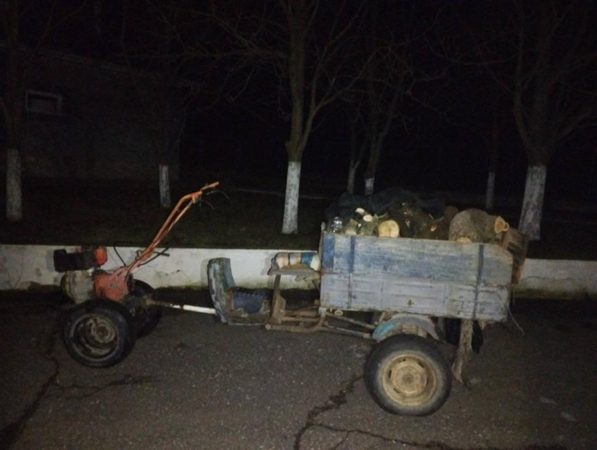 Без документов у границы: "черного лесоруба" задержали пограничники из Вулканешт