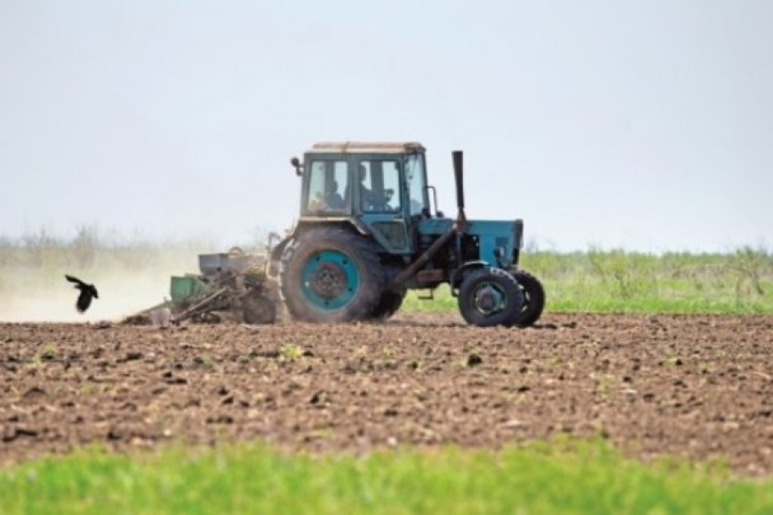 Эксперт: от засушливого лета и тёплой зимы пострадают аграрии Молдовы