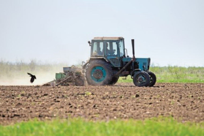Теплая погода и сельхозкультуры – в АПК Гагаузии рассказали о последствиях