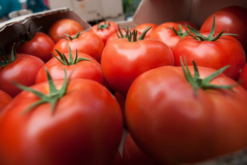 Цены на помидоры в Молдове могут резко взлететь. В чем причина?