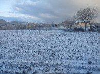 Заморозки в Молдове до -6°С: в селах боятся, что погибнет урожай