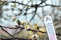 Заморозки до -6℃: в Молдове объявлен "желтый" уровень метеоопасности