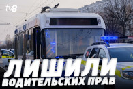 Водителя троллейбуса, насмерть сбившую девочку, лишили водительских прав