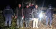 В Чишмикиое задержан гражданин Молдовы за организацию незаконной миграции