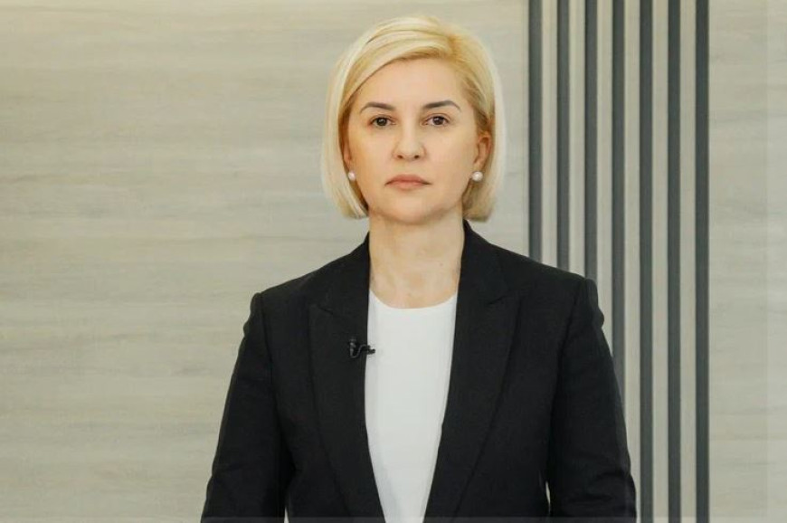 «Нельзя защищать демократию авторитарными методами». Ирина Влах о планируемой акции 21 мая