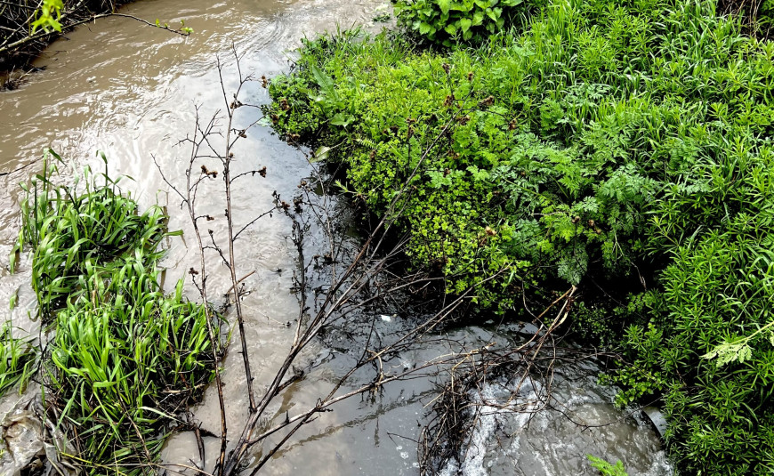 В Твардице сточные воды загрязняют местную реку. На месте побывал Речан