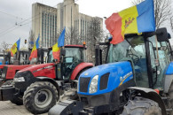 Фермеры Молдовы поддержали протест аграриев трёх стран из-за сырья из Украины