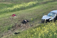 Вблизи Вулканешт с трассы слетел автомобиль: есть пострадавшие