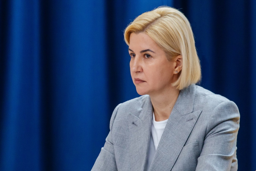 «Меня должны были задержать еще год назад». Ирина Влах о проверке ANI
