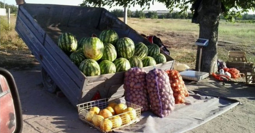 ANSA о периоде жары: Скажите “нет” продуктам питания с обочины дорог
