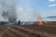 На фоне жары Молдову охватили лесные пожары