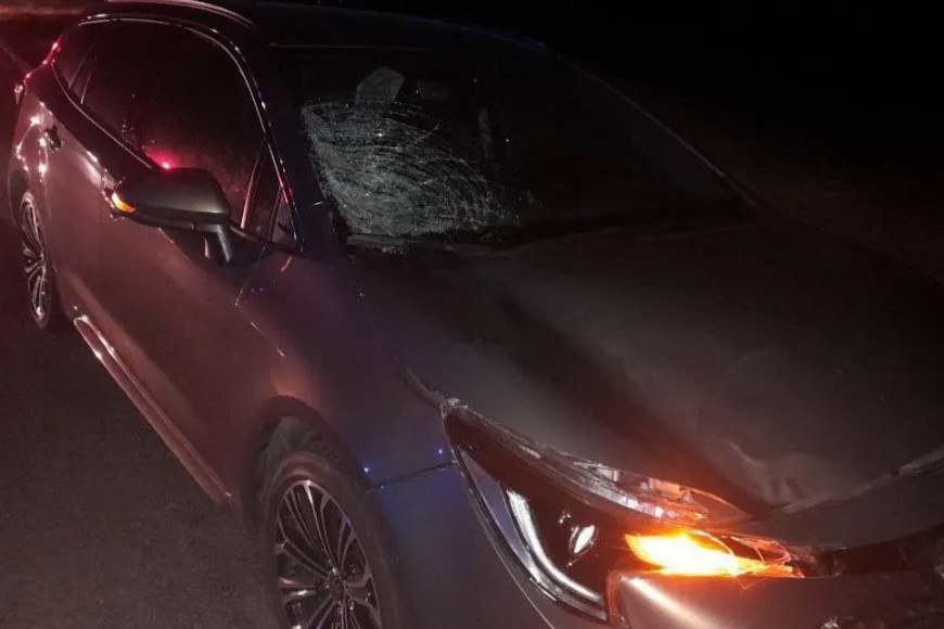 В Ниспоренском районе в ДТП погиб ребенок: переходил дорогу в неположенном месте