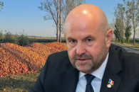 Боля о яблоках на обочине: Не надо паниковать, видя эти кучи