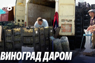 "И вот что мне делать?": Аграрии могут распродать виноград