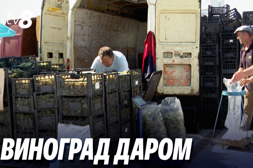 "И вот что мне делать?": Аграрии могут распродать виноград
