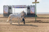 Этнофестиваль в Тараклии: представлена и культура гагаузов