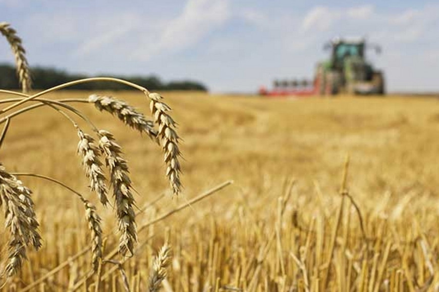 "Защищаем своих фермеров": Румыния ограничит импорт сельхозпродукции из Молдовы