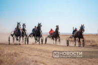 Праздник и хорошее настроение: наездники и лошади из Гагаузии показали мастерство в Приднестровье