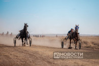 Праздник и хорошее настроение: наездники и лошади из Гагаузии показали мастерство в Приднестровье