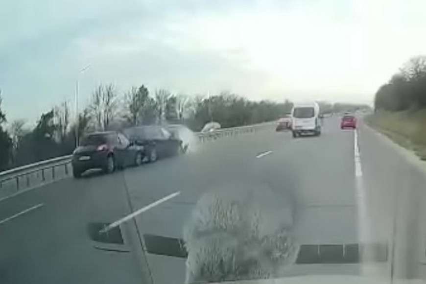 Под Кишиневом выбежавшая на трассу собака спровоцировала тройное ДТП
