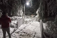 Под тяжестью снега. В Вулканештах обрушились десятки деревьев