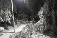 Под тяжестью снега. В Вулканештах обрушились десятки деревьев
