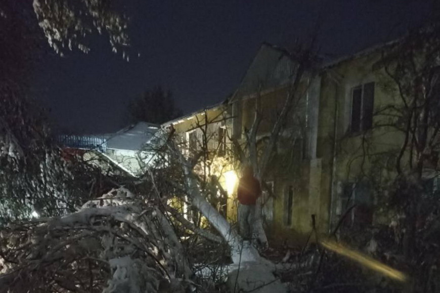 Под тяжестью снега. В Вулканештах обрушились десятки деревьев