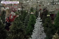 Сезон елок – открыт. Какие новогодние деревья предпочитают жители Молдовы?