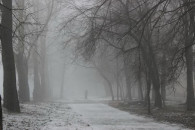 Пасмурная погода, но тепло. Синоптики обновили прогноз на 2 февраля