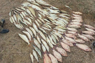 В Ялпуге наловили 40 кг рыбы: задержана группа браконьеров