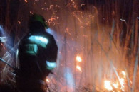 Крупный пожар в Етулии: сгорело около 300 гектар растительности