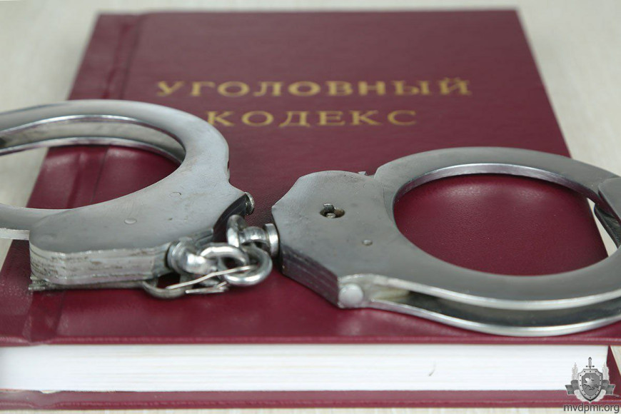 Додон: "отказ Санду включить башкана в правительство - повод для уголовного дела"