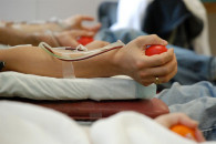 День донора крови пройдет в университете Комрата