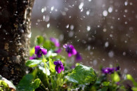 Слабый дождь со снегом идет в Гагаузии