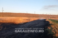 Возгорания сухой травы в Гагаузии: статистика и кто в них виноват