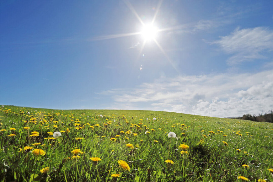 Солнечная ясная погода ждет жителей Гагаузии в понедельник