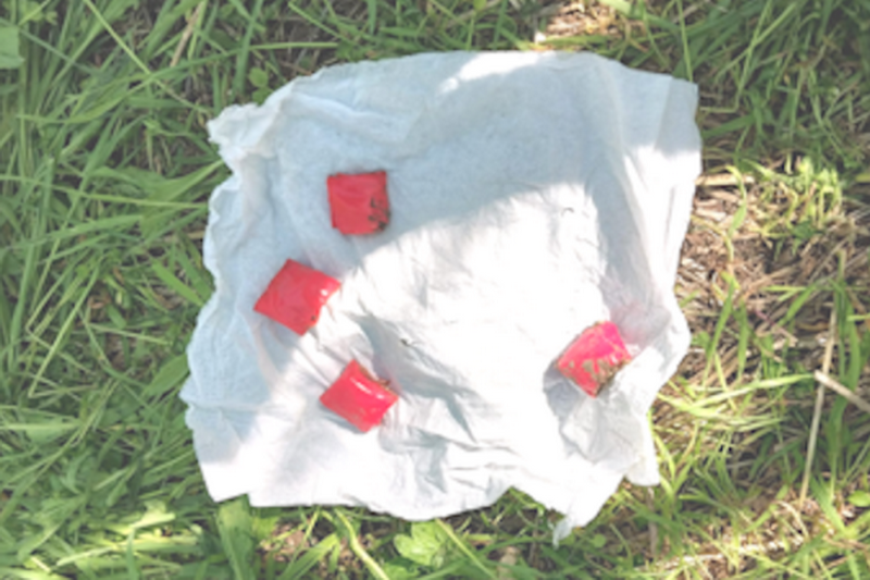 Трое жителей Кишинева задержаны за торговлю наркотиками: изъяты вещества на 100 тысяч леев