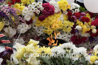День Победы в Комрате: Тысячи людей возложили цветы на Мемориале славы