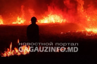 С начала года в Гагаузии пожарные потушили горящую на 10 гектарах растительность