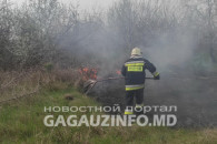 С начала года в Гагаузии пожарные потушили горящую на 10 гектарах растительность