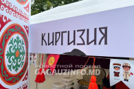Национальная кухня, музыка и танцы - Фестиваль дружбы народов проходит в Комрате