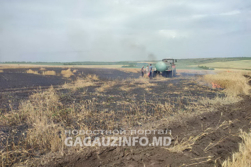 Пожары на полях в Гагаузии: сгорело около 10 гектар пшеницы и ячменя