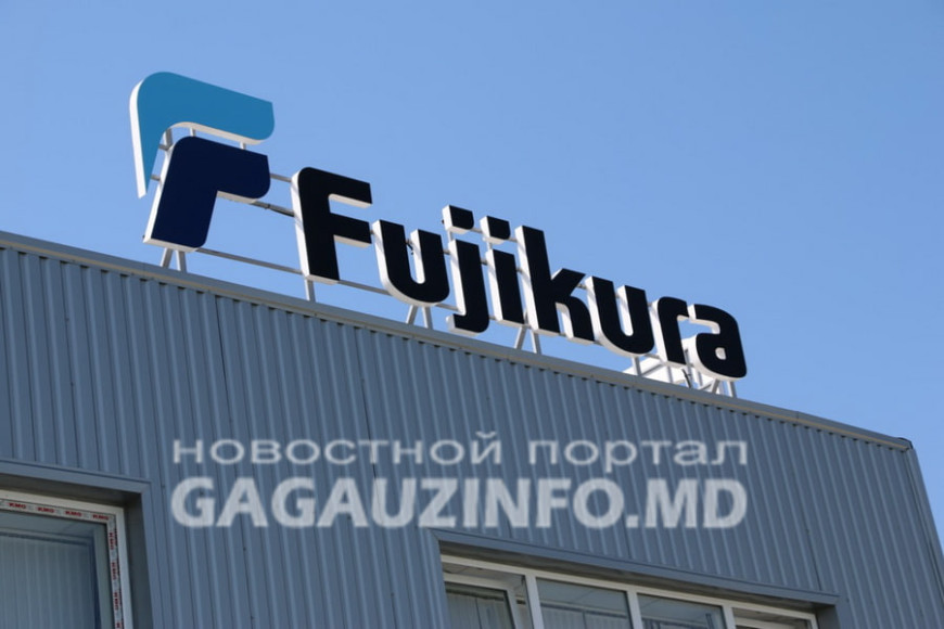 Владеющая фабрикой в Комрате Fujikura ликвидируется