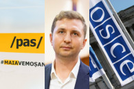 Ирина Влах: в PAS "плевать хотели на избирателей, ОБСЕ и демократию"