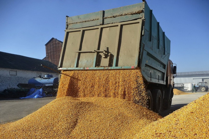 Глава агросектора Гагаузии: "если из Украины хлынет зерно, многие наши аграрии обанкротятся"