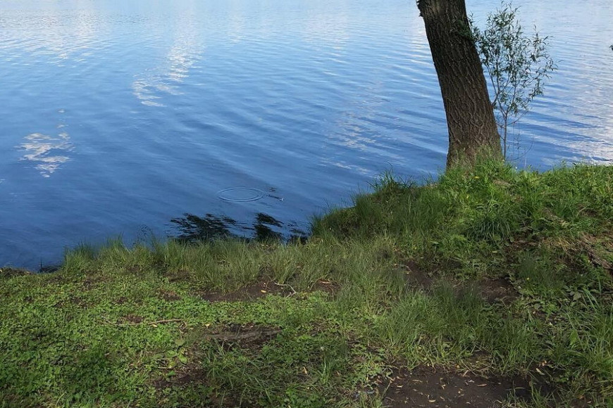 Засуха в Гагаузии: арендаторы озер грозят расторжением договора