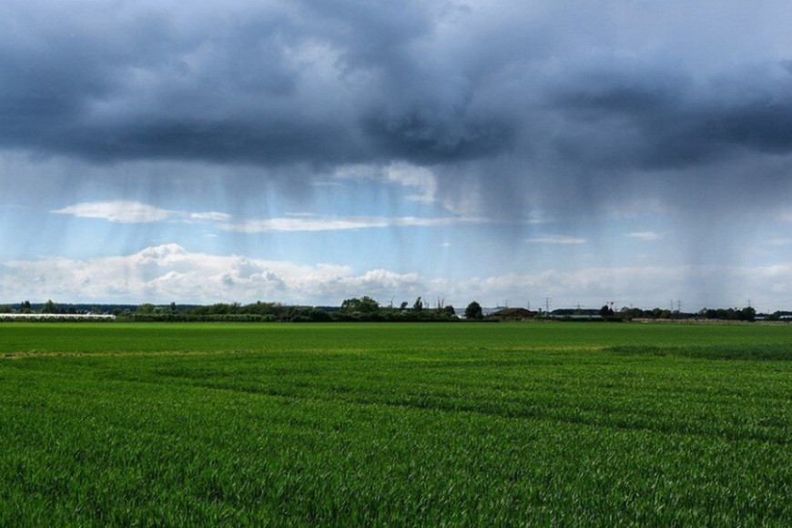 Июньские дожди в Гагаузии: сколько осадков выпало и какова польза для урожая