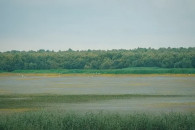 Рядом с Гагаузией. Самое большое озеро Молдовы на грани исчезновения