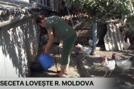 Засуха на юге страны: журналисты показали, как в Чок-Майдане люди экономят воду